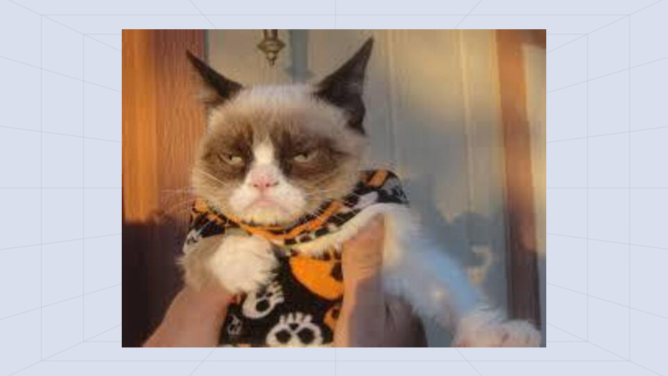 Grumpy Cat - AI Memes Template